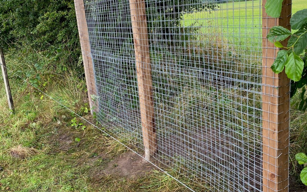 Site Maintenance – Fencing