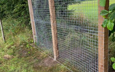 Site Maintenance – Fencing